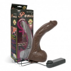Baile Dildo con Ventosa Color Marron