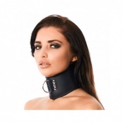 Collar Cuero con Anilla