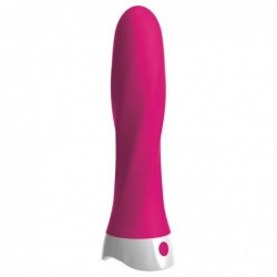 Vibrador E6 Wall Banger Deluxe