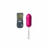 Huevo Vibrador Secret Vibe