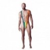 Mankini Arcoiris Talla Única
