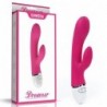 Vibrador Dreamer USB Rose Red