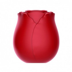 Redrose Succionador de Clítoris con Base Magnética USB Silicona