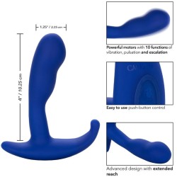 CALEXOTICS - ADMIRAL CURVED ESTIMULADOR and VIBRADOR ANAL AZUL