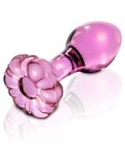 Plugs Anales
