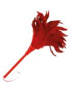 Boas y Plumas
